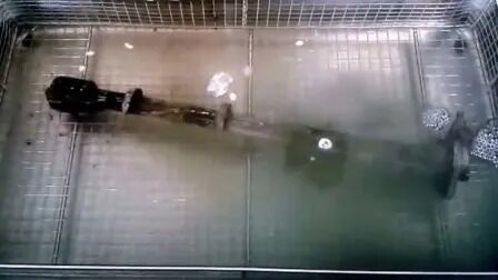 Scaldaia digitale, cronometratore, pezzi di ricambio per automobili industriali, inossidabile, pulverizzatore ad ultrasuoni Jp-480st